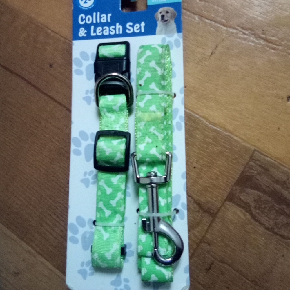 Green Dog Collar and Leash Set